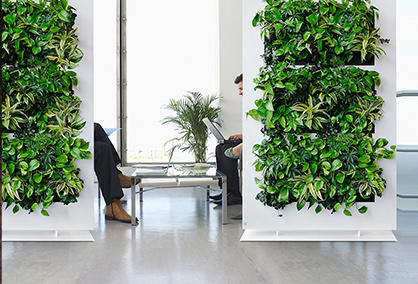Che valore ha il muro di piante verdi nell'applicazione indoor?